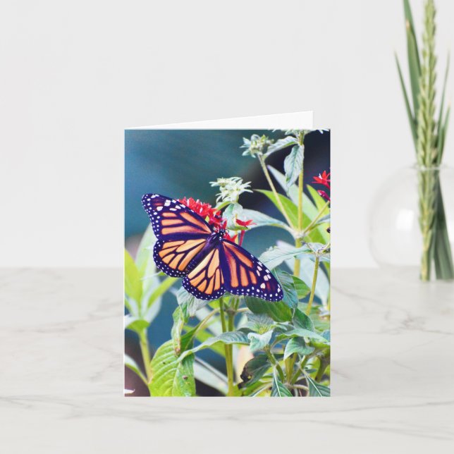 Monarch Butterfly-mappat anteckningskort (Framsida)