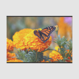 Monarch Butterfly Marigold Photo
