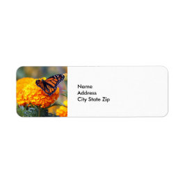 Monarch Butterfly Marigold Photo Returadress Etikett