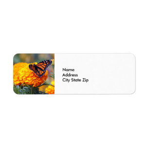 Monarch Butterfly Marigold Photo Returadress Etikett