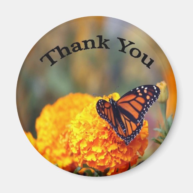 Monarch Butterfly Marigold Photo Tack Magnet (Framsidan)