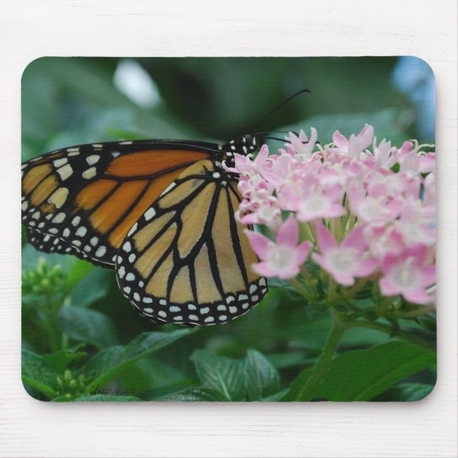 Monarch Butterfly Mouse Pad Musmatta (Framsidan)