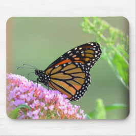 Monarch Butterfly Mouse Pad Musmatta