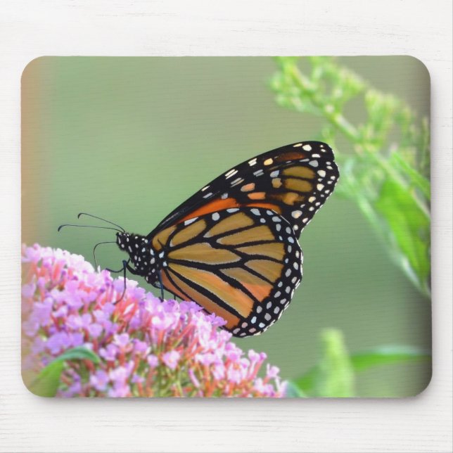 Monarch Butterfly Mouse Pad Musmatta (Framsidan)