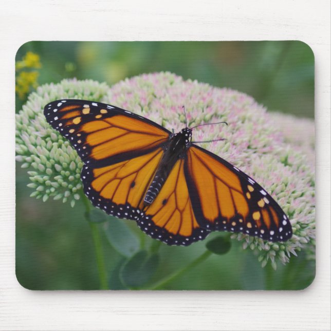 Monarch Butterfly Mouse Pad Musmatta (Framsidan)