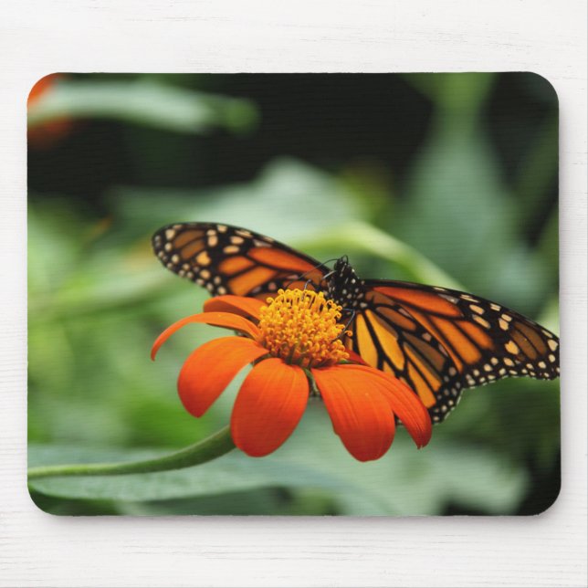 Monarch Butterfly Mousepad Musmatta (Framsidan)