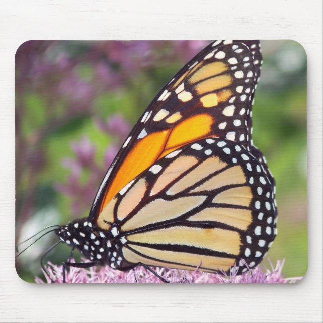 Monarch Butterfly mousepad Musmatta (Framsidan)