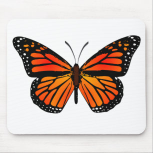 Monarch Butterfly Musmatta