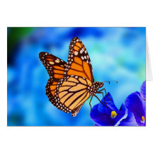 Monarch Butterfly Note-kort