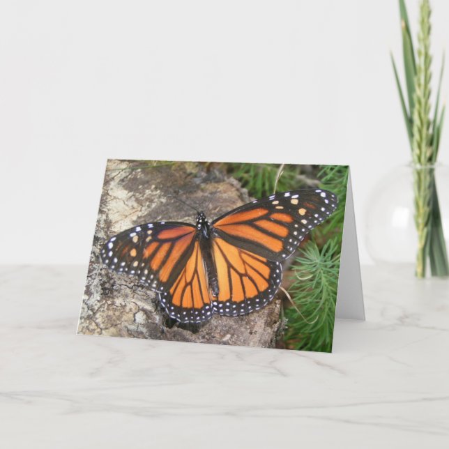 Monarch Butterfly Note-kort Kort (Framsida)