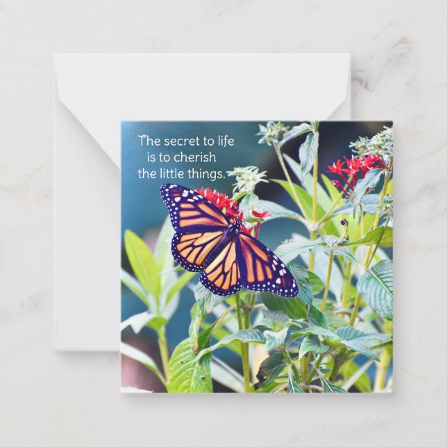 Monarch Butterfly notecards Anteckningskort (Framsida)