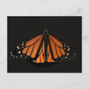 Monarch Butterfly nyckel i Orangen Vykort