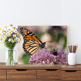 Monarch Butterfly och Bumblebee på Wildblomma Fototryck