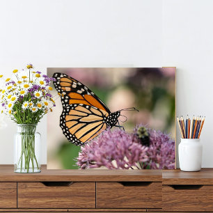 Monarch Butterfly och Bumblebee på Wildblomma Fototryck