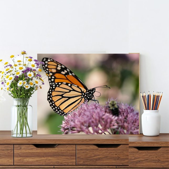 Monarch Butterfly och Bumblebee på Wildblomma Fototryck (A monarch butterfly is the star of this rustic scene with a pink flower and a bumble bee friend.)
