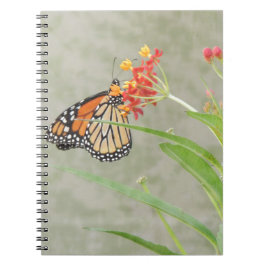 Monarch Butterfly och Caterpelare Anteckningsbok