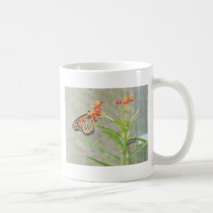 Monarch Butterfly och Caterpelare Kaffemugg