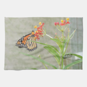 Monarch Butterfly och Caterpelare Kökshandduk