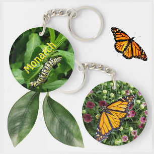 Monarch Butterfly och Caterpelare Photographic