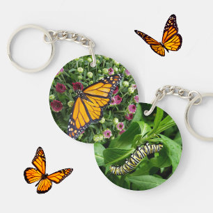 Monarch Butterfly och Caterpelare Photographic