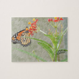 Monarch Butterfly och Caterpelare Pussel