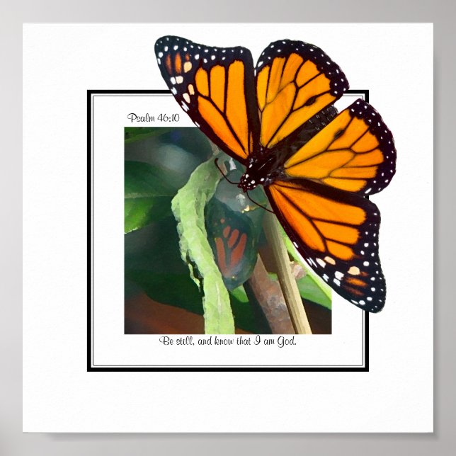 Monarch Butterfly och Chrysalis Art Poster (Framsidan)