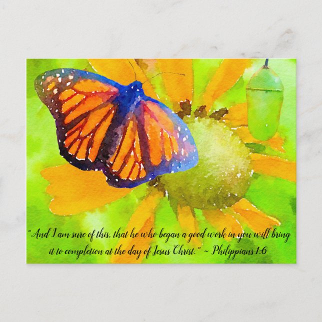 Monarch Butterfly och Chrysalis Philippians 1:6 Vykort (Framsida)