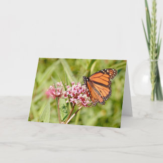 Monarch Butterfly och Friend Kort