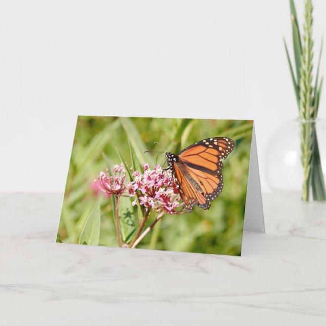 Monarch Butterfly och Friend Kort (Framsida)
