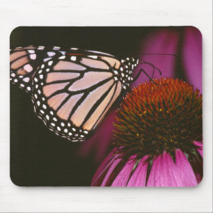 Monarch Butterfly och Lila Flower Musmatta