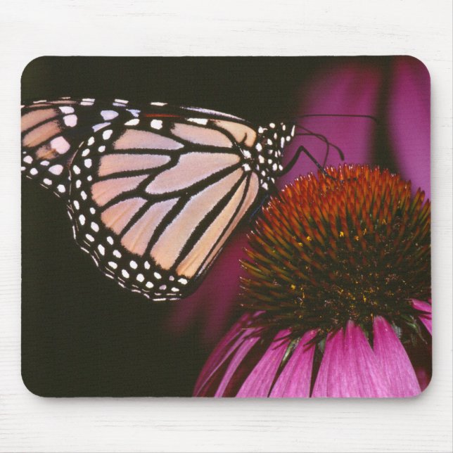 Monarch Butterfly och Lila Flower Musmatta (Framsidan)