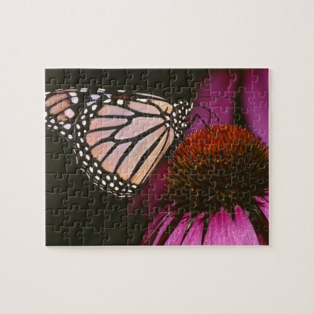 Monarch Butterfly och Lila Flower Pussel (Horisontell)