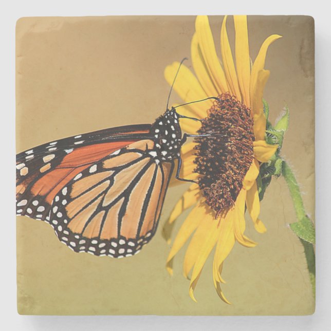 Monarch Butterfly och Solros Stenunderlägg (Framsidan)