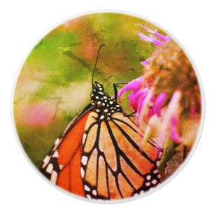 Monarch Butterfly on Flower Close Up Abstrakt Knopp