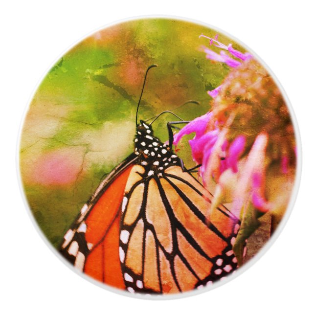 Monarch Butterfly on Flower Close Up Abstrakt Knopp (Framsidan)