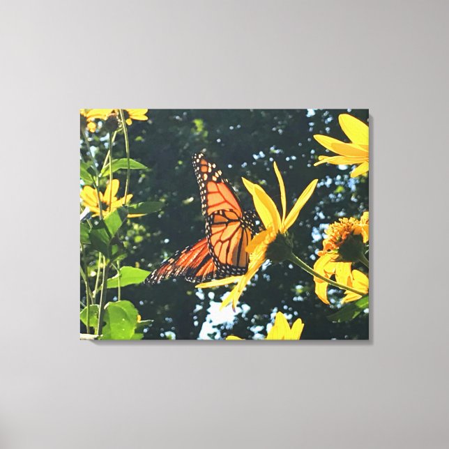 Monarch Butterfly on Flower Photograph  Canvastryck (Framsida)