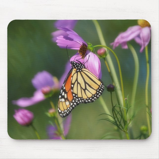 Monarch Butterfly On Pink Flowers Mousepad Musmatta (Framsidan)