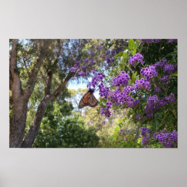 Monarch Butterfly on Purple Flowers Poster (Framsidan)