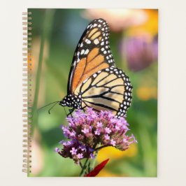 Monarch Butterfly on Verbena & Dahlia Blank