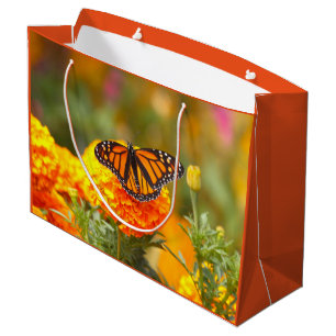 Monarch Butterfly Orange Marigold Photo