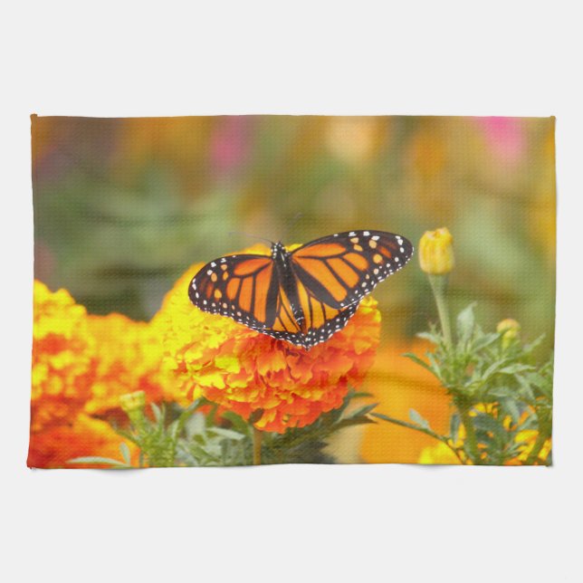Monarch Butterfly Orange Marigold Photo Kökshandduk (Horisontell)