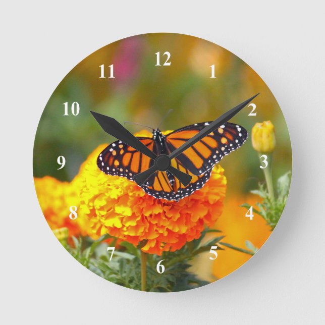 Monarch Butterfly Orange Marigold Photo Rund Klocka (Framsida)