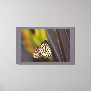 Monarch Butterfly på Agave Canvastryck
