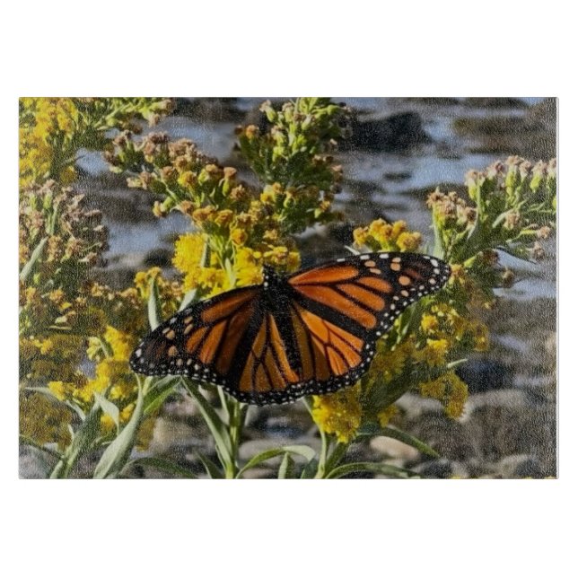 Monarch Butterfly på en blomma av Vatten natur (Framsidan)