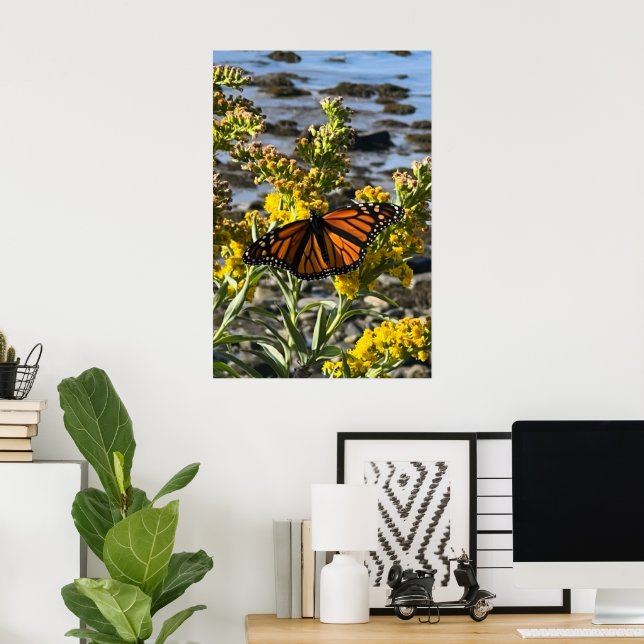 Monarch Butterfly på en blomma av Vatten natur Poster (Hemmakontoret)