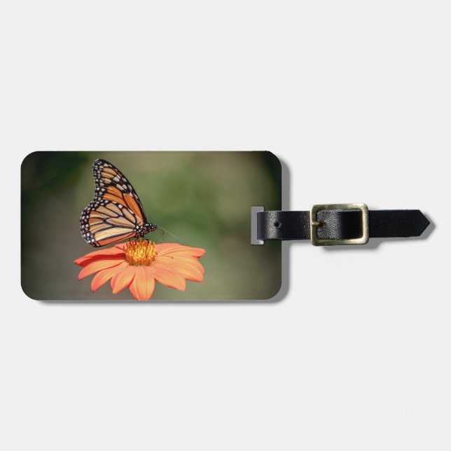 Monarch Butterfly på en orange blomma Bagagebricka (Horisontell Framsida)