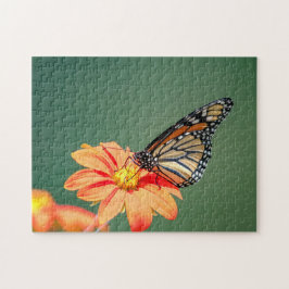 Monarch Butterfly på en orange blomma Pussel