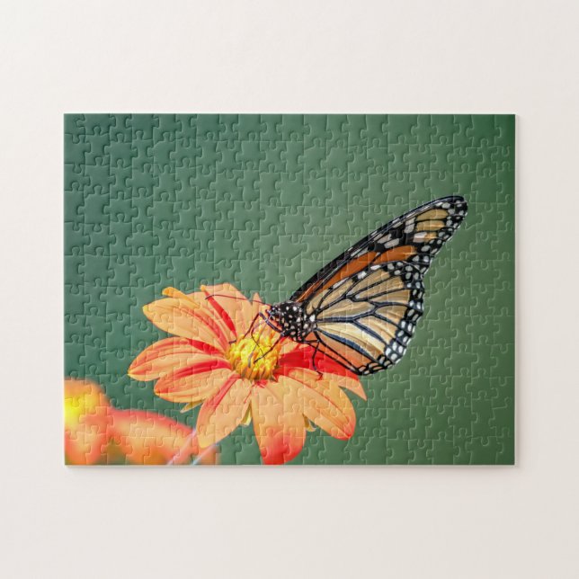 Monarch Butterfly på en orange blomma Pussel (Horisontell)