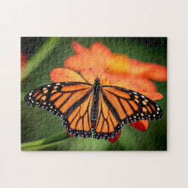 Monarch Butterfly på en orange blomma Pussel