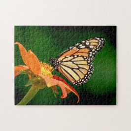 Monarch Butterfly på en orange blomma Pussel